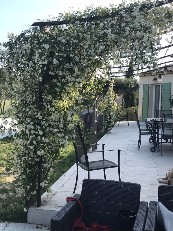 Restauration en plein air