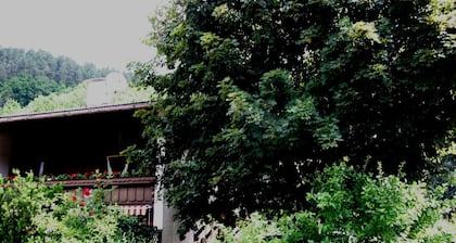 Quiet in the center: apartments The ideal basis for outdoor activities