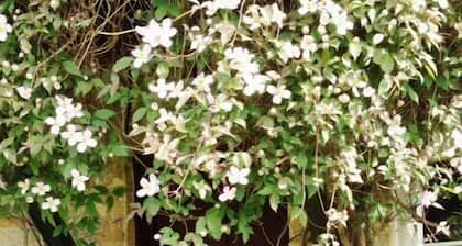 Superbe 2 Chambre GĂźte avec jardin Vues & Great Location