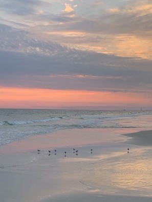 Una playa cerca