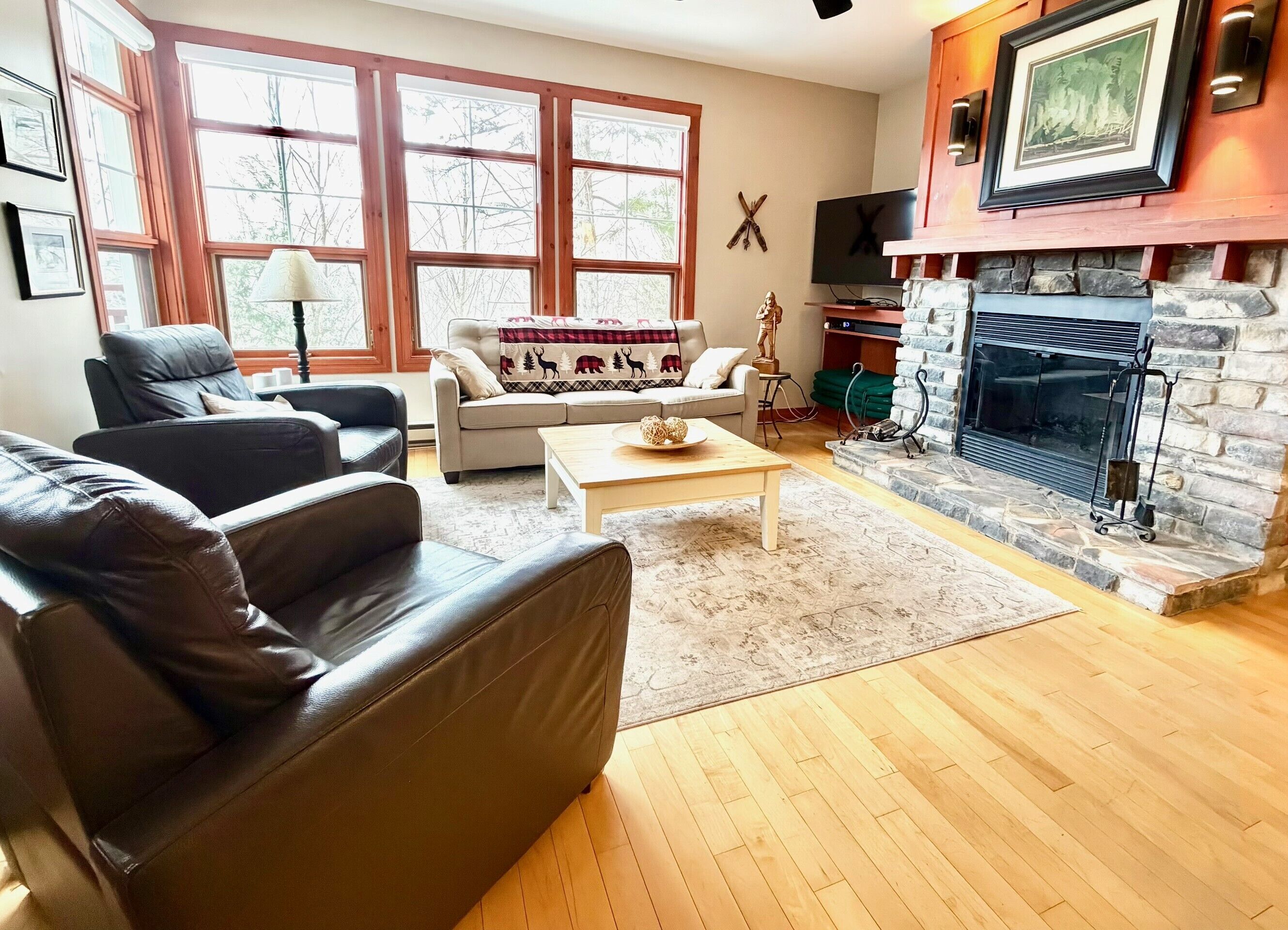 Smart TV, fireplace, stereo, printers