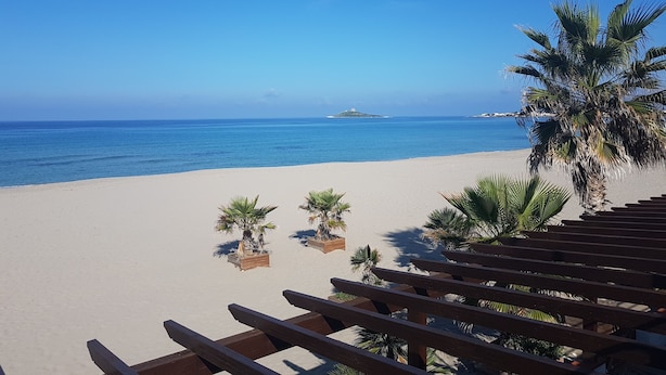 Une vue sur la plage avec une terrasse en bois, des palmiers et un ciel bleu dégagé.