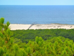 Nær stranden