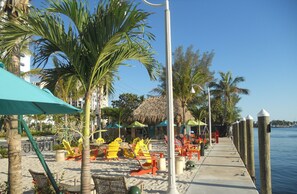 A beachside area with outdoor seating, palm trees, and a view of the water.