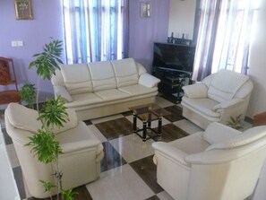 Fernseher, Arbeitsbereiche