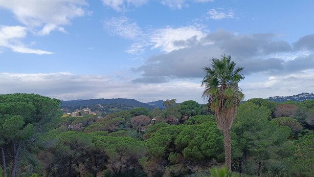 Une vue depuis un balcon donnant sur un paysage luxuriant, avec des arbres denses et un ciel dégagé.