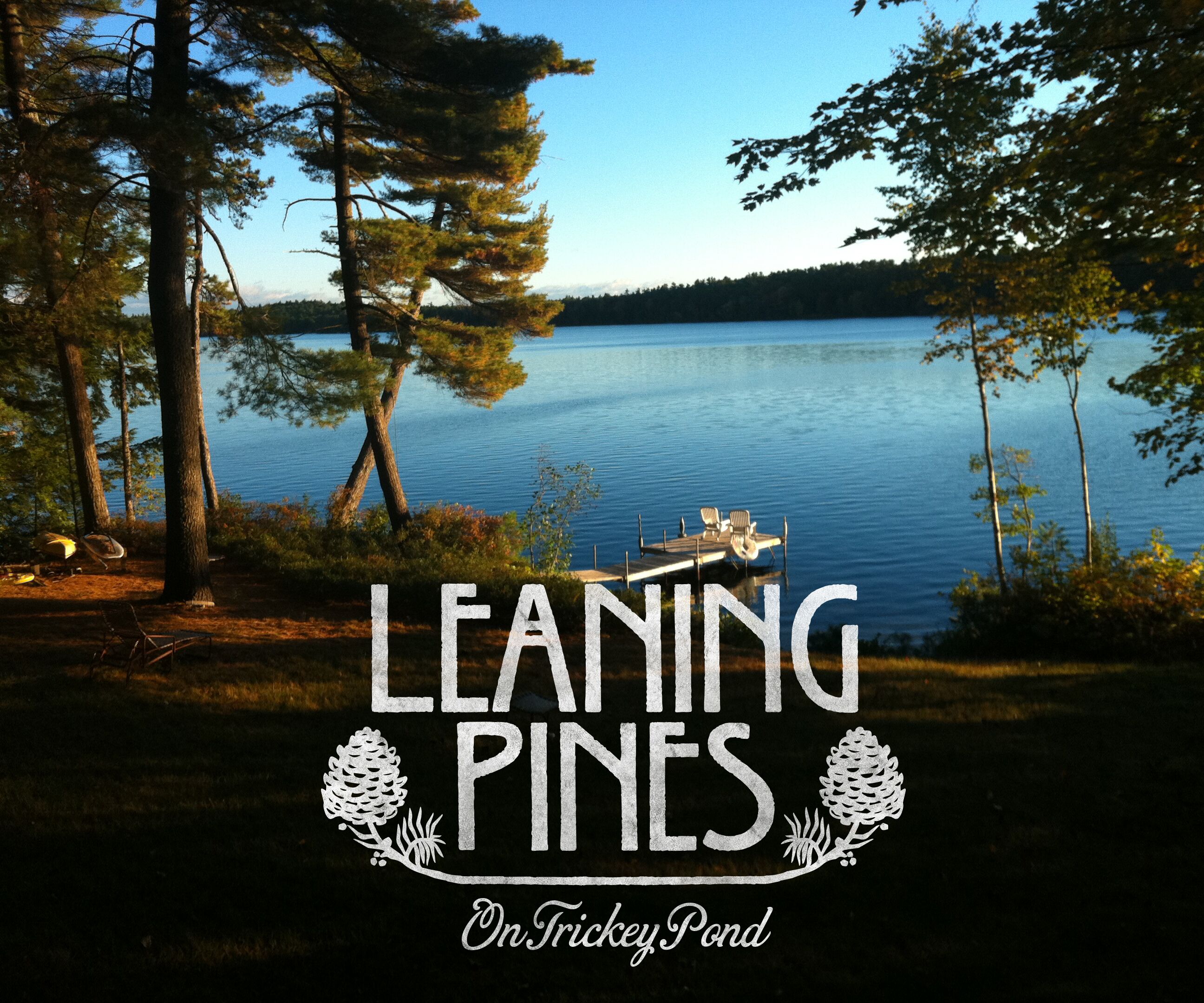 Lovely, Sprawling Log Home On Pretty, Pristine Trickey Pond.