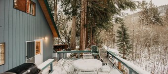 Mt Baker Rim Cabin #53 - Hot Tub - Wi-Fi - BBQ