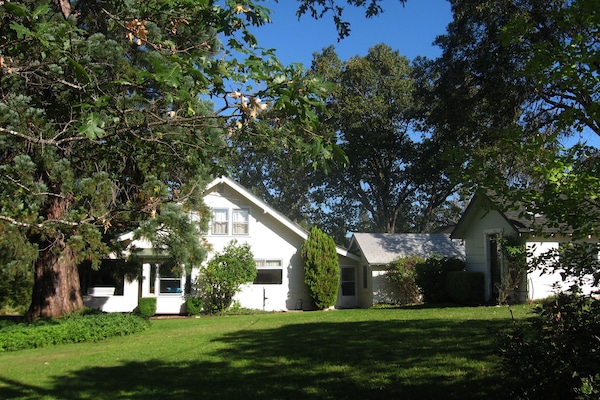 Craftsman house with large grassy yard