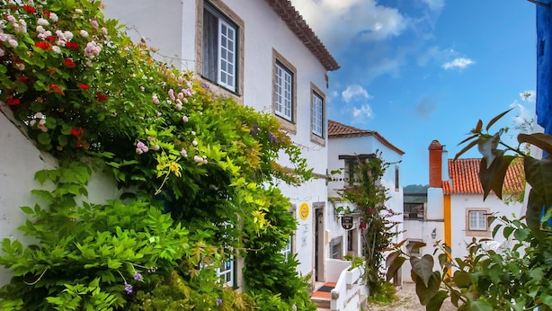Un estrecho callejón empedrado flanqueado por edificios blancos con techos de tejas rojas, abundante vegetación y un cielo azul despejado.