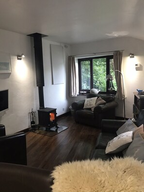 Smart-tv, eldstad, dvd-spelare och böcker