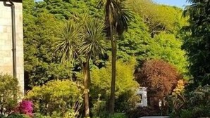 A garden with a stone building, picnic tables, and various trees. - Stunning 2 Bedroom Stone Barn with 24" Open Plan Living Room/Kitchen/Dining (Gulval)