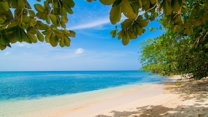 A beach with clear turquoise water, sandy shore, and dense green foliage overhead.