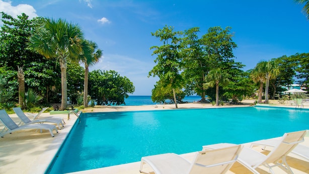 A swimming pool with lounge chairs, surrounded by palm trees and a view of the ocean.