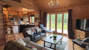 TV, fireplace, video games, DVD player