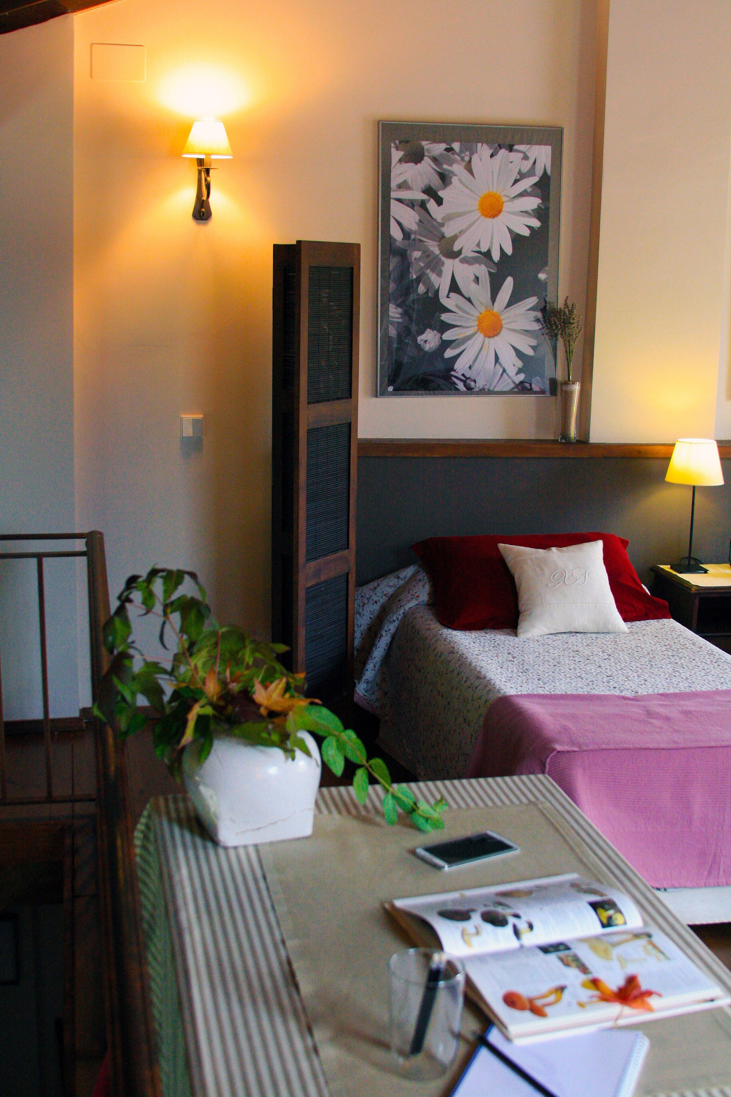 El Hogar del Fresno, charming tourist accommodation in Pedraza