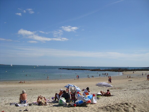 Sun loungers - Cottage with HEATED INDOOR POOL / SPA facilities Langonnet Morbihan ,Brittany (Langonnet)