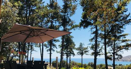 Superbe villa piscine bord de mer, vue panoramique, 6 couchages, cuisine d'été, équipée