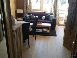 Télévision, cheminée, lecteur de DVD, livres