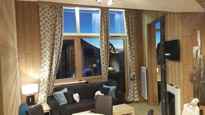 Télévision, cheminée, lecteur de DVD, livres