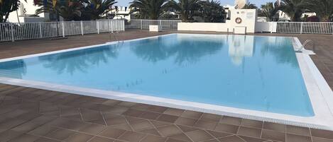 A rectangular swimming pool with a tiled deck, surrounded by palm trees and a white fence.