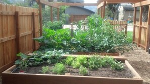 Property grounds - Gourmet Kitchen, Walk to Pearl St!  (Boulder)