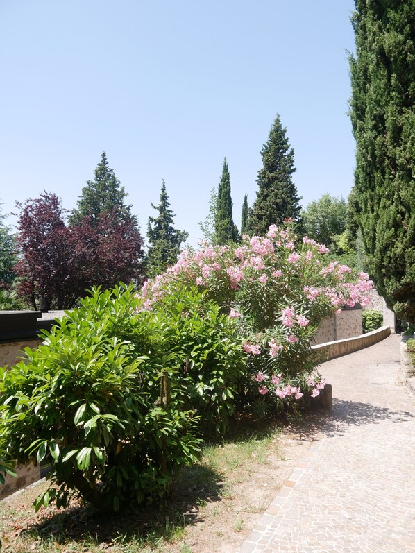Terrain de l’hébergement 