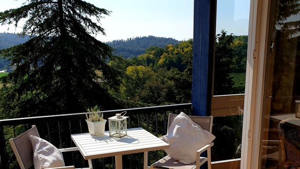 Ein Balkon mit Tisch und Stühlen, einem Blumentopf und Blick auf eine bewaldete Landschaft.