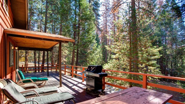 A wooden deck with lounge chairs and a grill, surrounded by tall pine trees.