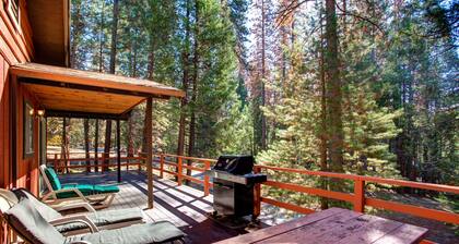 (9B) Deer Hollow at The Redwoods In Yosemite