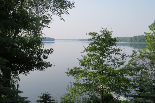 Miscelánea