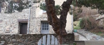 In the heart of conflent, quiet, with river view of the Canigou!