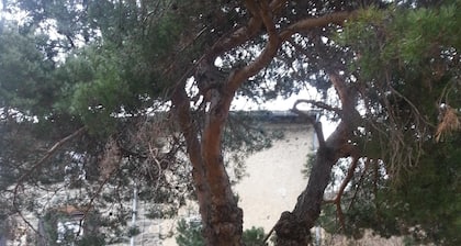 Au coeur du conflent,au calme, avec riviĂšre et vue sur le Canigou !
