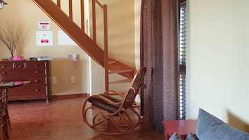 Smart TV, fireplace, books, video library
