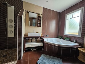 Bathtub, hair dryer, toilet paper