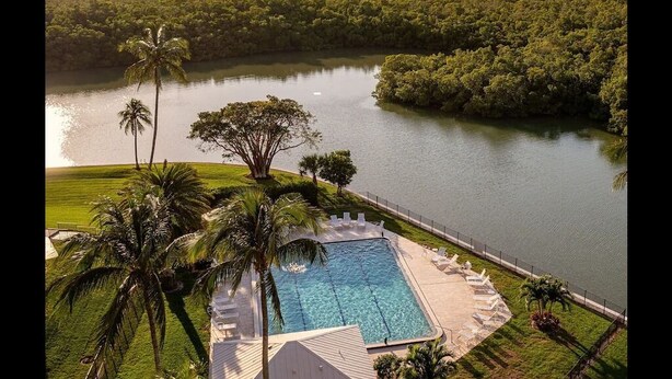 Una piscina con agua cristalina, rodeada por una cerca y palmeras, con vista a un lago y árboles a lo lejos.