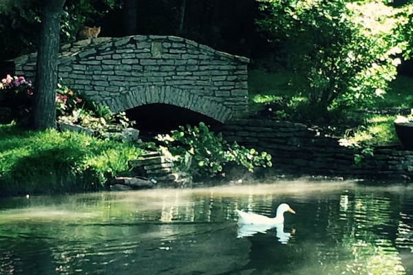 Come enjoy some peace and quiet in our garden setting...