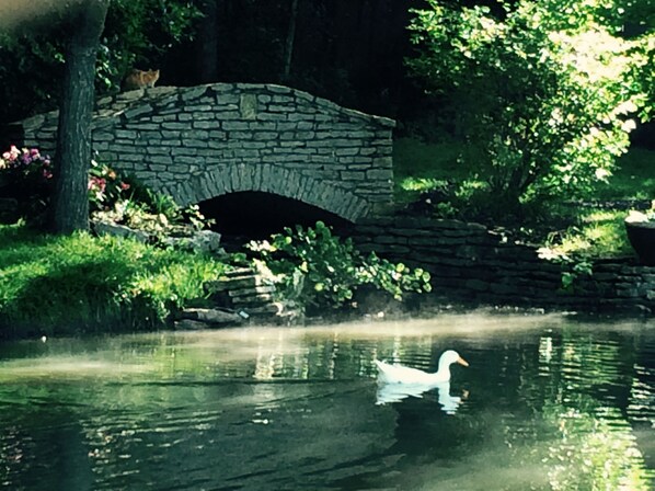 Image sans description, 1 de 31, bouton