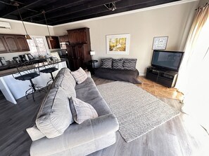 TV, fireplace, DVD player, video library