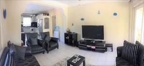 TV, DVD player, books, video library