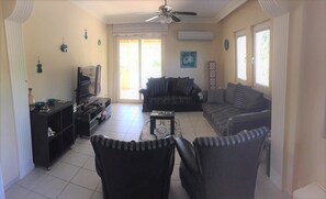 Een televisie, een dvd-speler, boeken en een filmbibliotheek