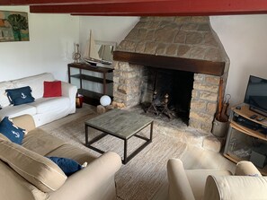 Télévision, cheminée, lecteur de DVD, livres