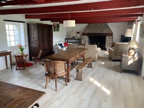 Televisión, chimenea, reproductor de DVD y libros 