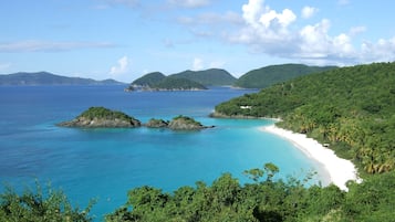 Chaises longues, serviettes de plage