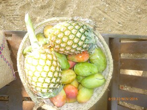 Alimentos y bebidas