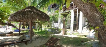 ココヤシの木の下の幸福