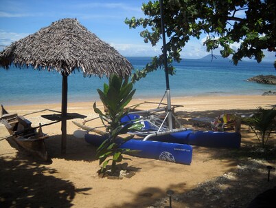 Happiness under the coconut palms