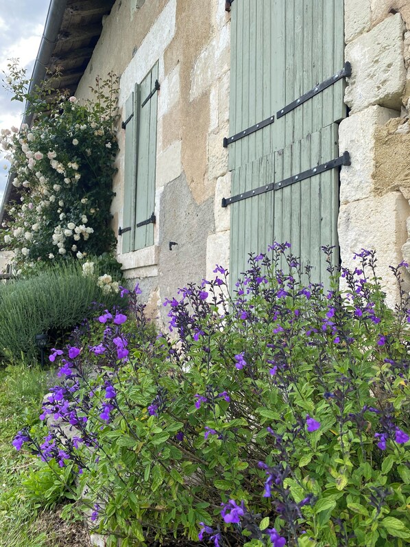 Edifici de pedra rústic amb persianes verdes i un jardí ple de flors morades.