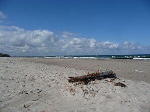 Une plage de sable avec un gros morceau de bois flotté au premier plan.