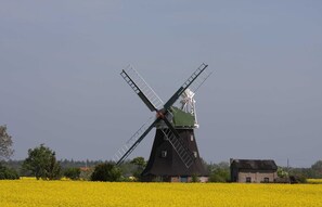 Eine Windmühle in einem Feld mit einem Haus in der Nähe.